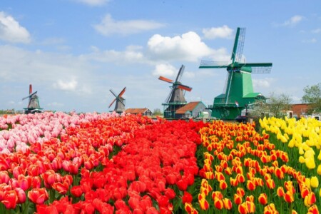 The Zaanse Schans windmills: A charming day trip from Amsterdam